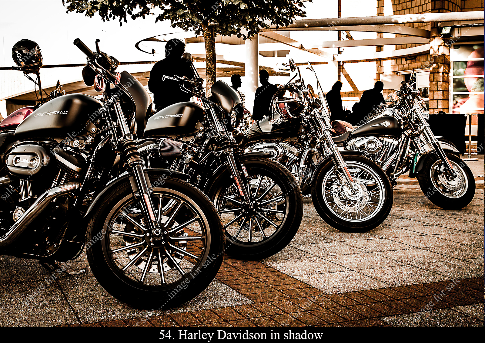 Harley davidson motor bikes